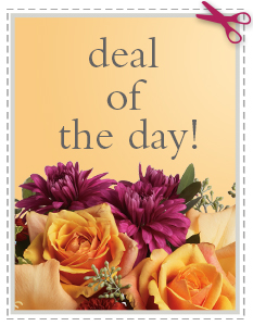 Deal of the Day in Washington DC, Minnesota Florist